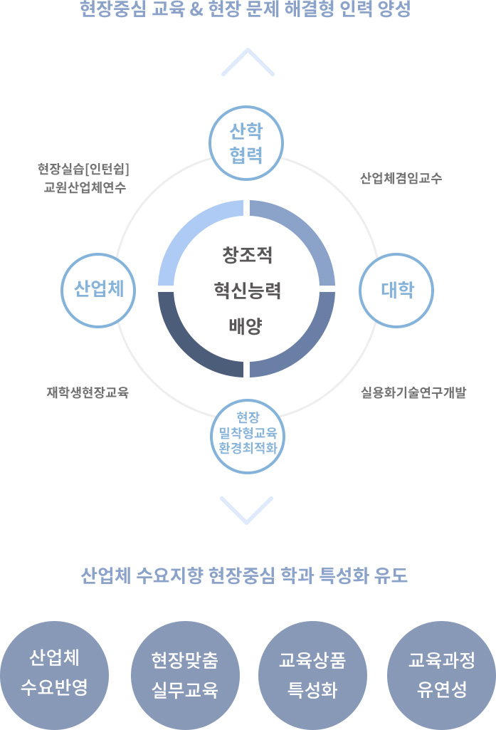 현장중심 교육 & 현장 문제 해결형 인력 양성 : 산학협력 ← 산업체겸임교수 → 대학 ← 실용화기술연구개발 → 현장밀착 형교육환경최적화 ← 재학생현장교육 → 산업체 ← 현장실습[인턴쉽] 교원산업체연수 → 산학협력 - 창조적 혁신능력 배양, 산업체 수요지향 현장중심 학과 특성화 유도: 산업체 수요반영, 현장맞춤 실무교육, 교육상품 특성화, 교육과정 유연성